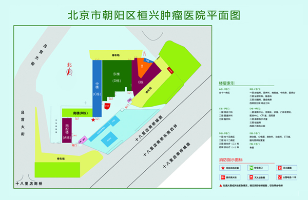 骚穴影视北京市朝阳区桓兴肿瘤医院平面图